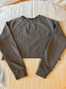 Aritzia Cropped Crewneck Sweatshirt - Charcoal Gray